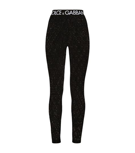 dolce & gabbana leggings|d&g online shopping.